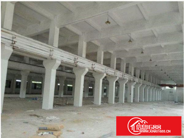 常平标准一楼6米高1500平米带牛角厂房出租