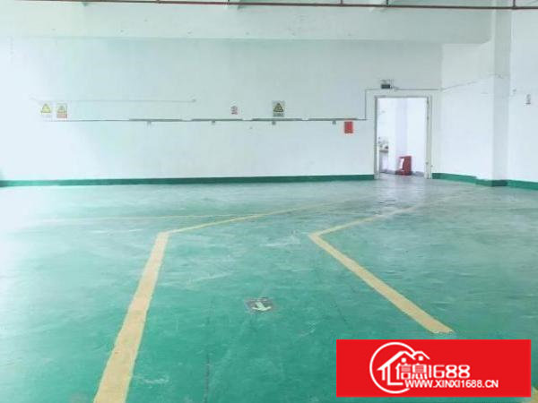 龙岗新出爱联地铁口工业风厂房300 280平直租