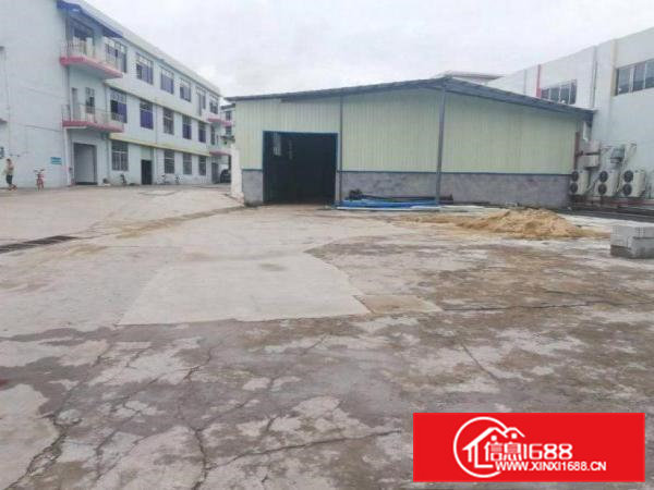 宝陂工业区新出全新独院钢构厂房550平米出租空地大