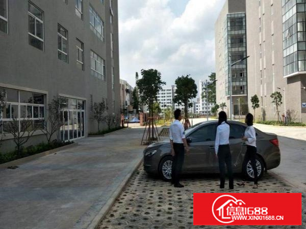 惠阳秋长原房东厂房55000平方出租