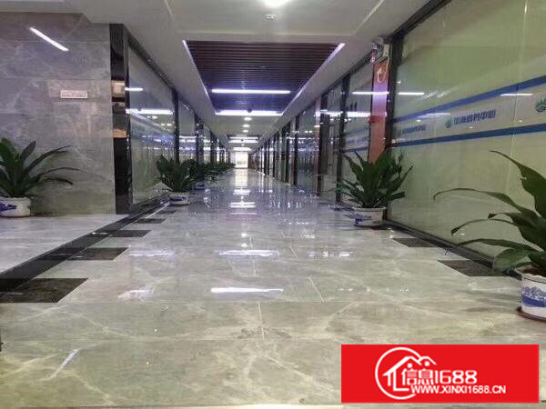 坂田杨美地铁站电商产业园300平米厂房仓库出租