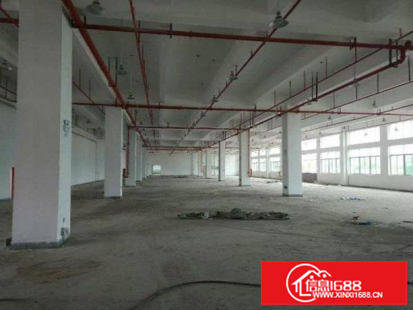 惠阳仲恺单一层钢构55000平方米适合污染企业厂房