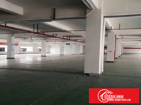 石排全新独院5000平方米重工业厂房招租，可分租