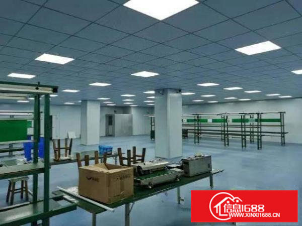 常平二楼1100平方，真实图片，水电办公室齐全