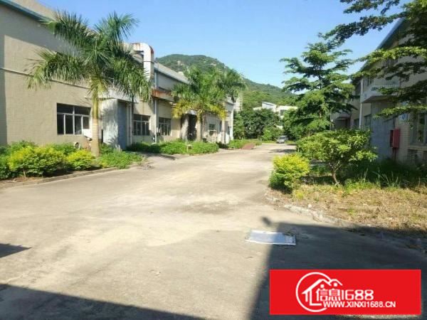 惠环仲恺惠环平南工业区厂房60000平米