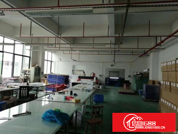 清溪三中高速路口新出四楼700平