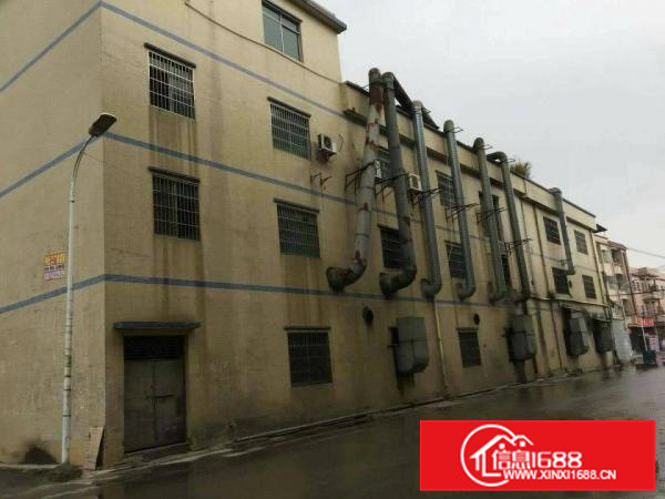 惠阳镇隆独门独院标准厂房三层