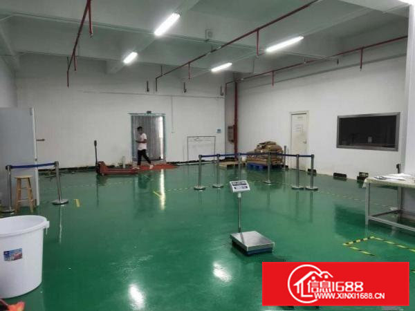 寮步上屯新出楼上1000平全新地坪漆精装修