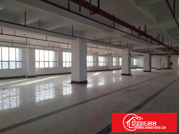 布吉丹竹头高新科技园新出6800平招租.可分租