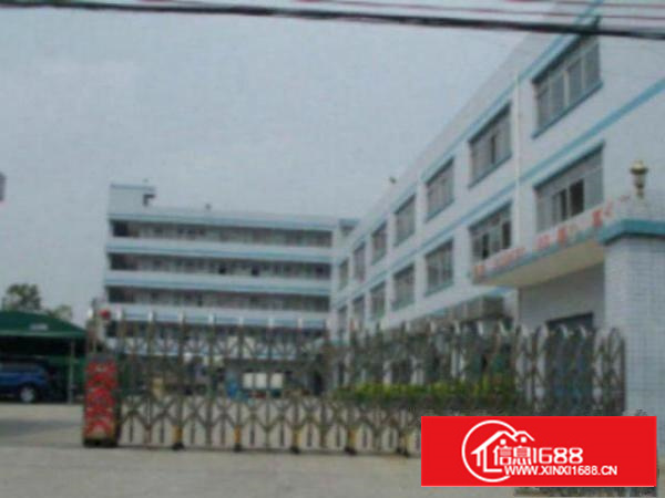 万江滘联标准厂房分租一楼2000平方形象好出租