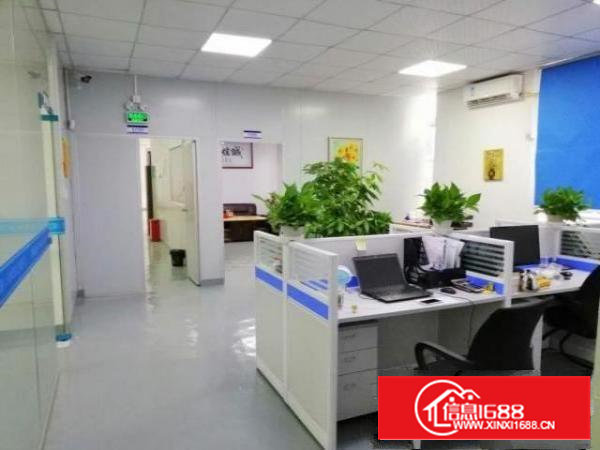 全新厂房，装修全新，大空间，直接开工。