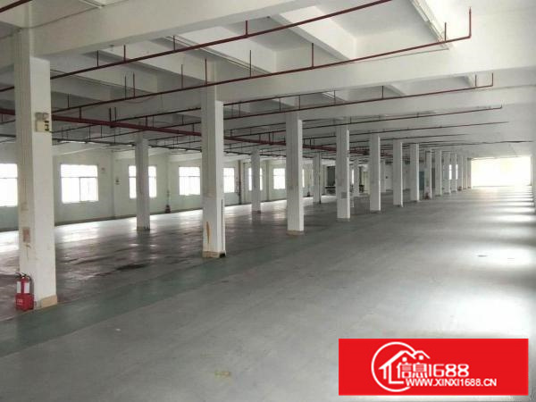 惠州小金口新出红本标准独院厂房6800平方出租