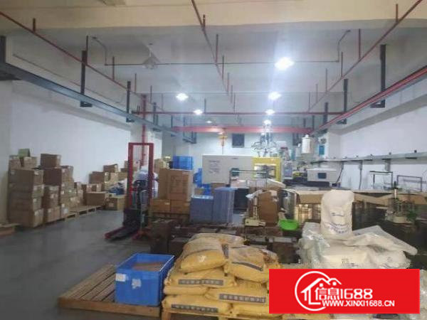 长安锦厦原房东直租500至600至800平厂房可分租