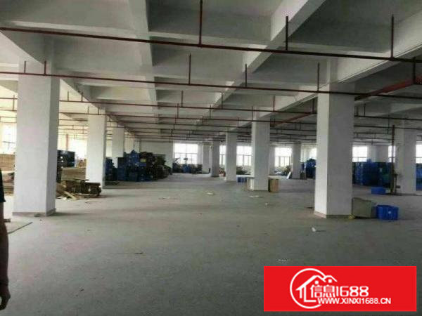 坪山高铁站新出楼上带精装厂房480平方米急租