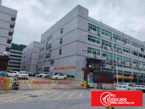 宝安石岩外环路一楼厂房出租2700平带行车和牛角面积可分