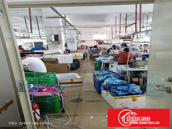 龙岗中心城怡丰路华丹医院附近厂房400平米