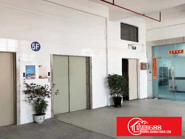 业主直租长安镇涌头带装修厂房三楼500平拎包生产