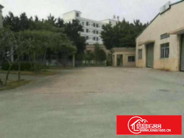 万江单一层厂房2000平方低价招租，水电齐全