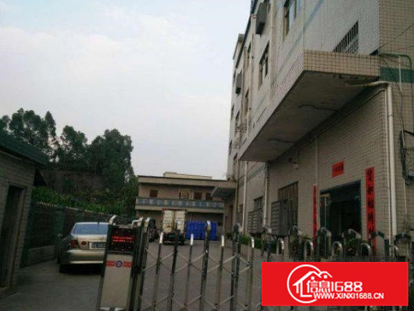 常平镇横江厦村新出独院厂房面积4500平方