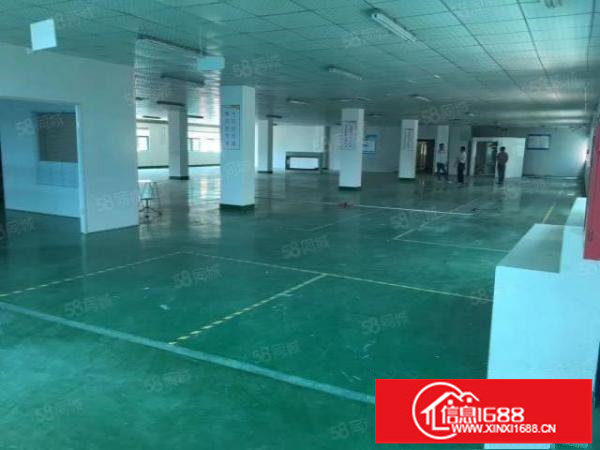 平湖华南城地铁口带装修3600平方独院厂房出租可分租