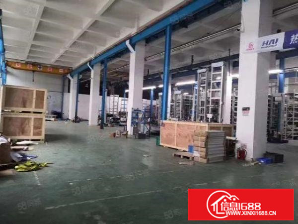 虎门靠长安新出标准一楼2300平米高度6米厂房出租，