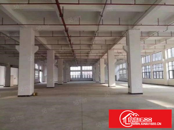 200平起分租观澜库坑独门独院12600平合同6年主线到车间