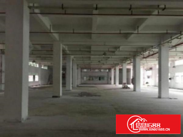 万江周边现有4500平方超靓标准独院厂房火爆招租啦