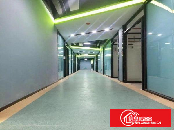 直租兴东地铁口2200平大小可组合精装毛坯均有