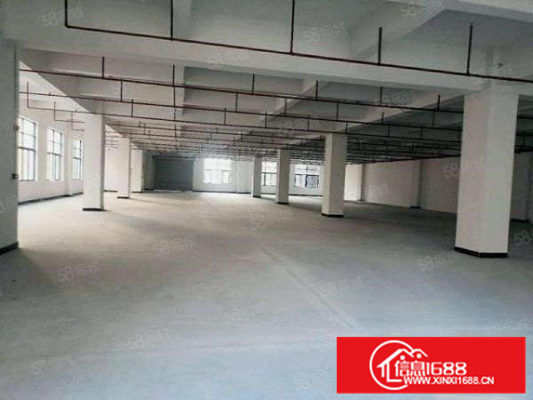 独院厂房出租，一首房东，谢绝中介