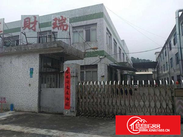 横沥镇山厦工业区新出独院工业厂房两层2000平方招租