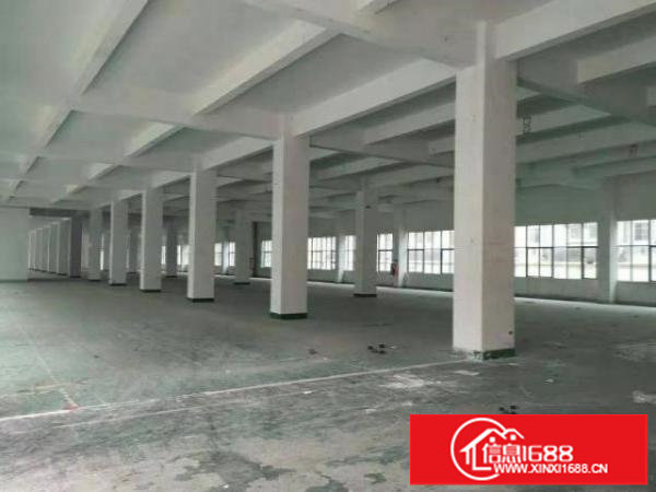 龙华大浪物业直租厂房出租一楼厂房出租4000平，可分租