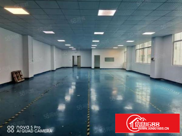 风岗金凤凰标准厂房1200平，精装地坪漆电子加工行业等