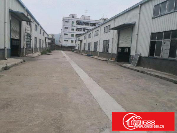 清溪三中新出原房东独门独院滴水8米钢构厂房5400平米