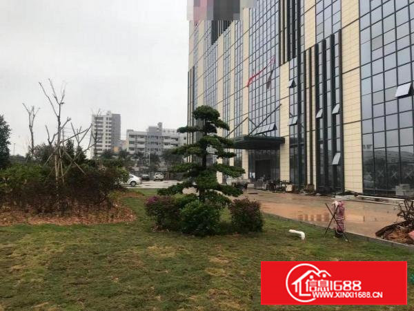 长安上沙沿江高速，新出独院50000平方，可以大小分租