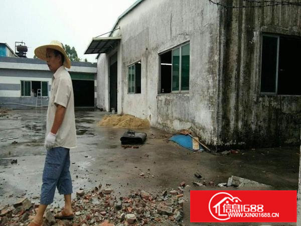 北环路靠近近东部快速厂房2340平米单一层可做喷漆