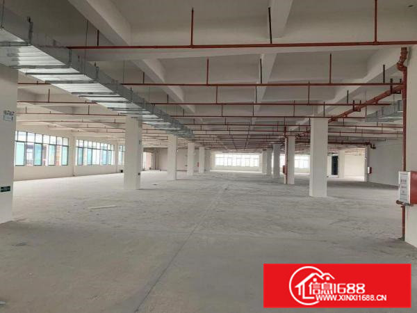 大岭山高科技园厂房出租