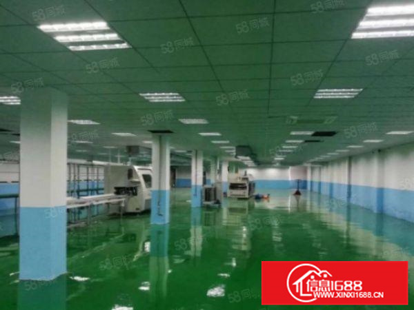 大榄工业区1200方独院单一层厂方出租