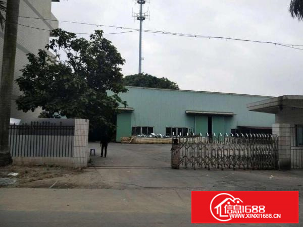 石湾科技园原房东独门独院厂房出租