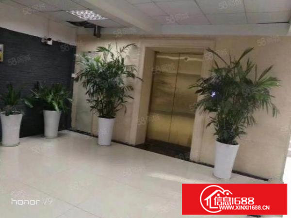 大浪石观工业区一楼230平