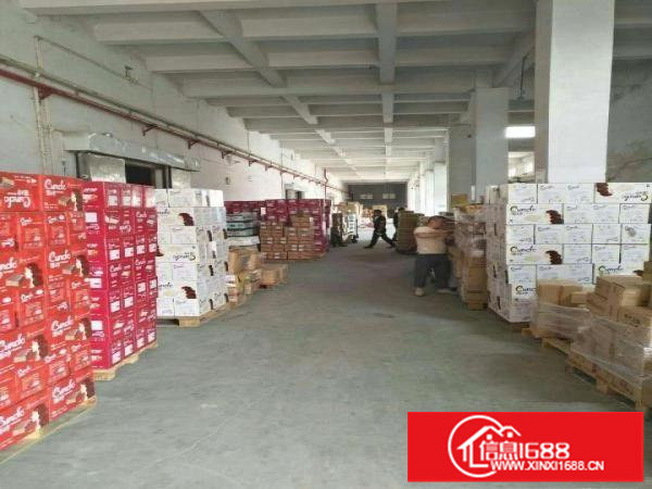 出租坪山区大型物流冷库，大小分租，电按需