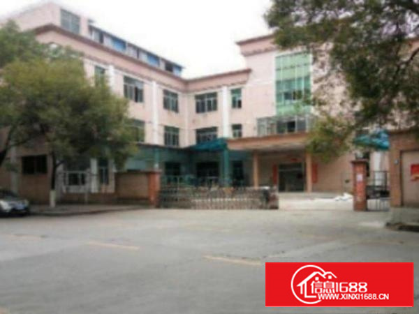 万江一楼900平米标准厂房出租;带装修