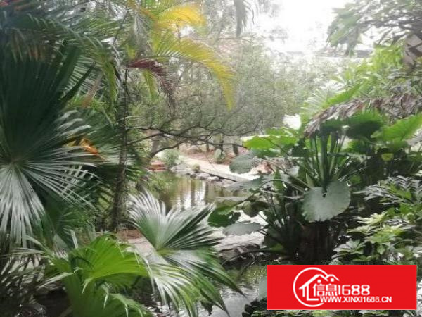 东莞茶山花园式厂房出租楼上一层2500㎡