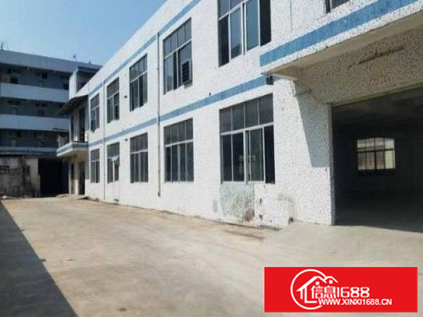 坪山碧岭新出独院厂房4000平出租