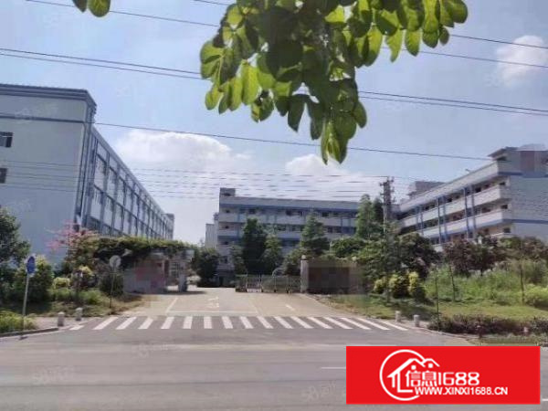 狮山狮西工业区花园式厂房