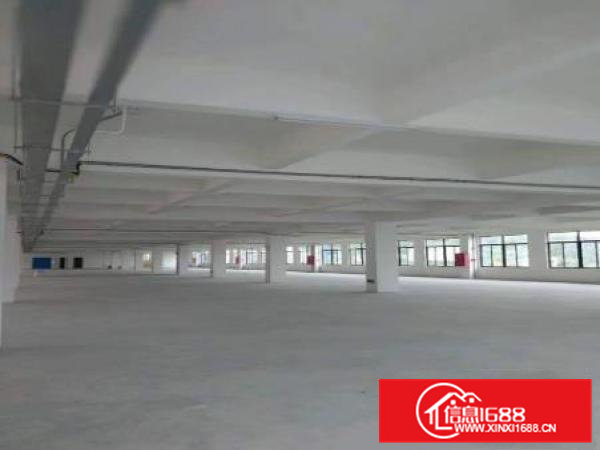 常平卢屋全新独院厂房6000平方，业主直租