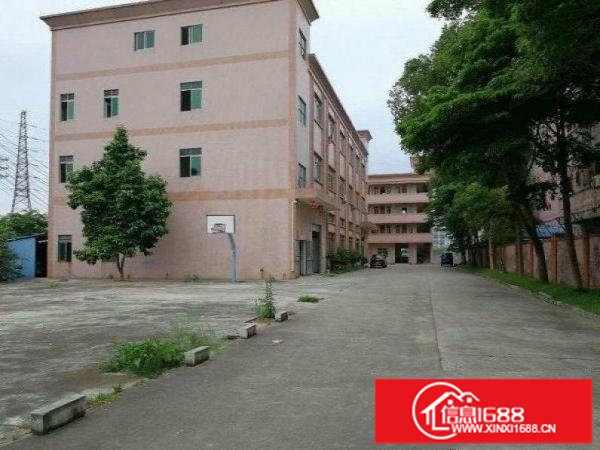 横岗四联社区1楼厂房500平！有地坪漆