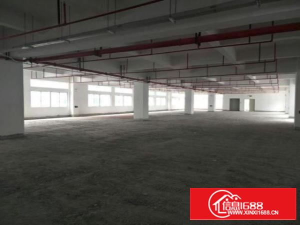 万江工业园标准厂房3楼出租现成地坪漆办公室整层3000