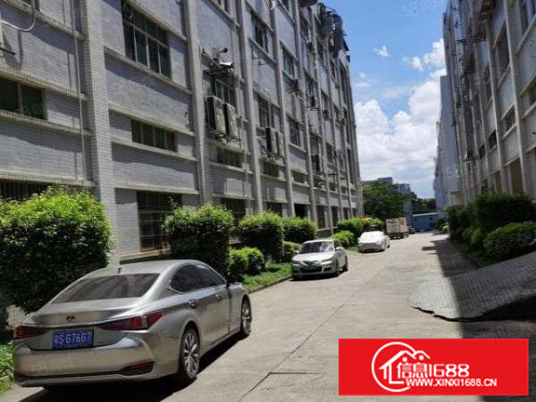 凤岗楼上1800平方带豪华装修出租，水电办公室齐全