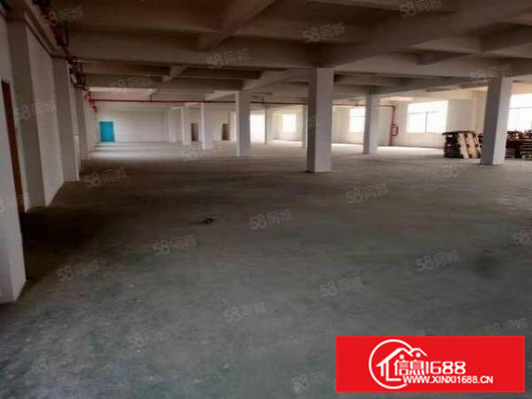 大岭山杨屋园区7楼1400平标准厂房仓库出租，水电齐全价格优