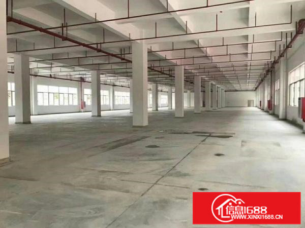 高埗镇形象美独院标准厂房带红本20000平